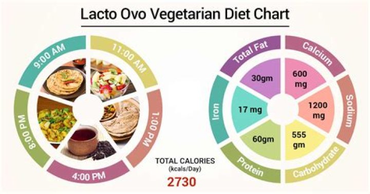 lacto ovo vegetarian diet