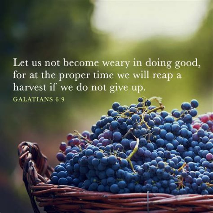 let us not grow weary in doing good