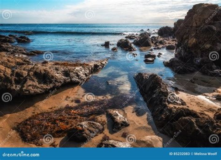 low tide laguna beach