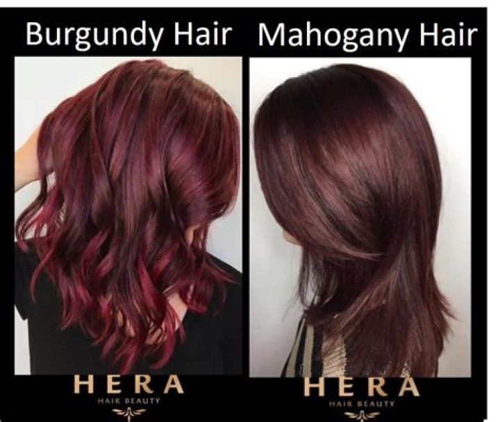 mahogany vs burgundy hair color