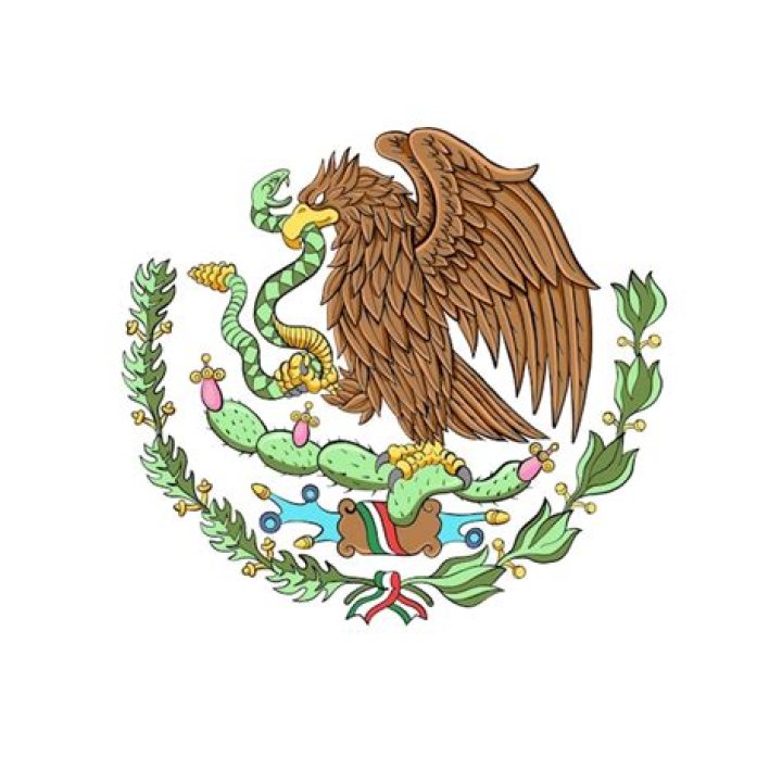 mexico flag eagle