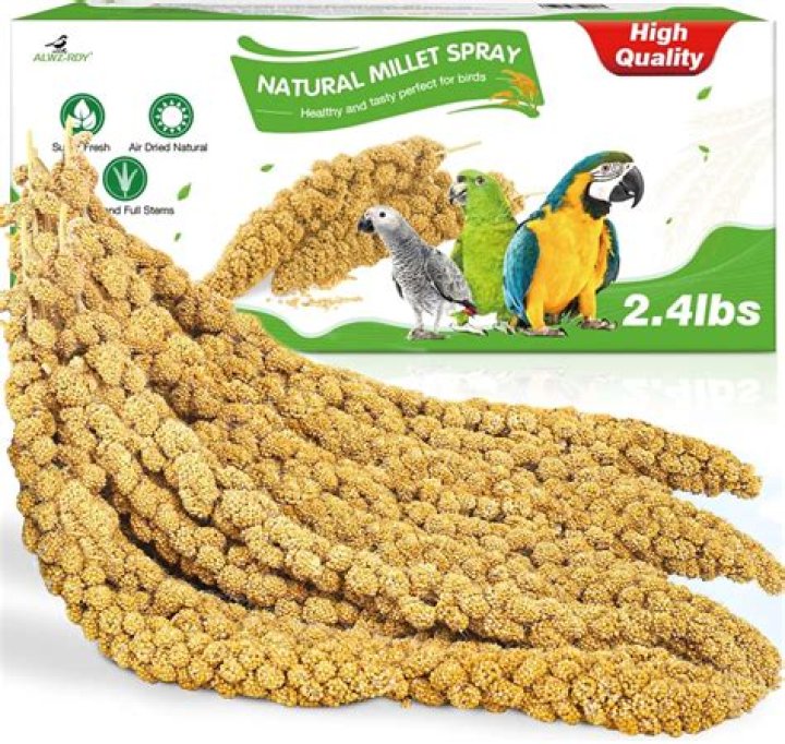 millet for birds