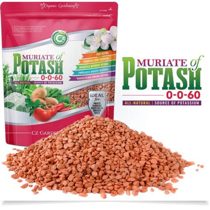 muriate of potash