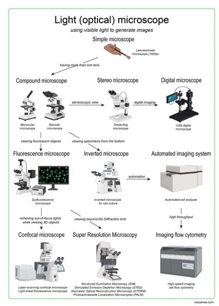 name one disadvantage of light microscopes