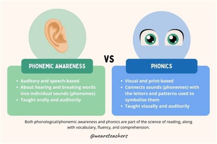 phonemic awareness vs phonological awareness