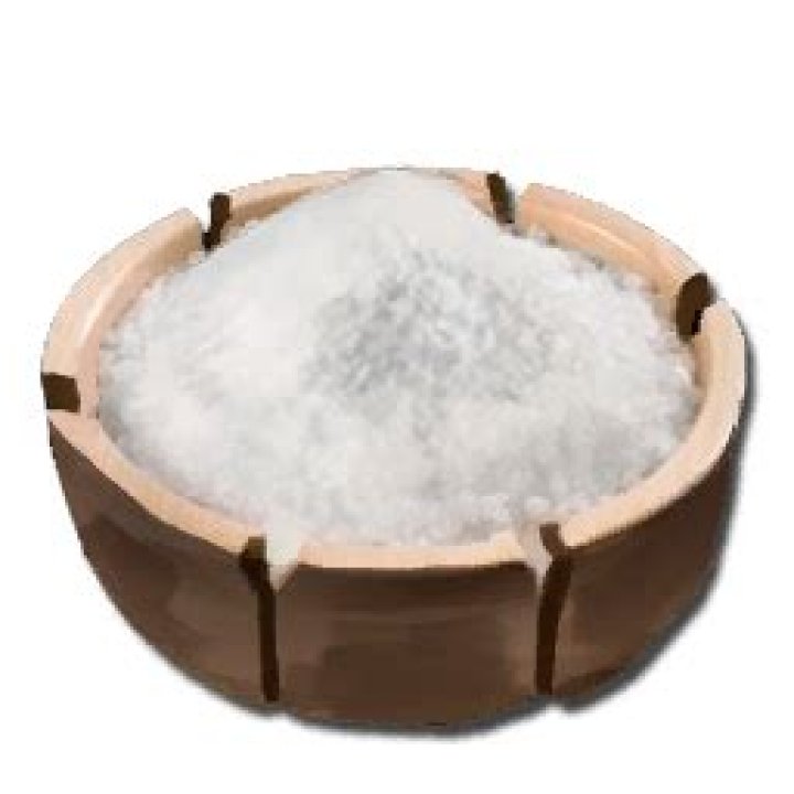 preserving salt ark