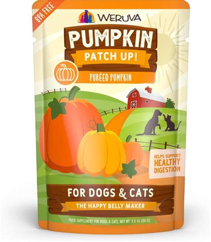 pure pumpkin for cats