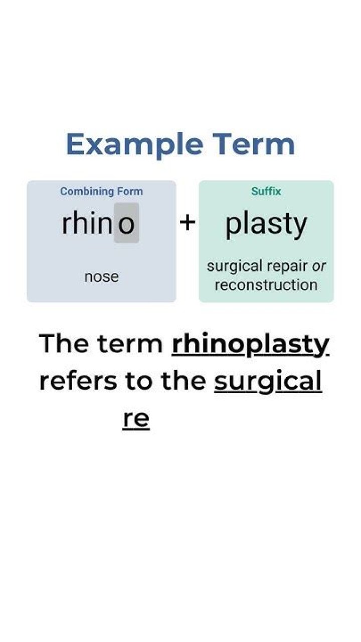 rhin medical term