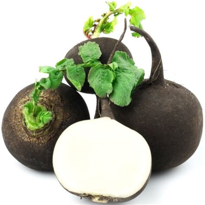 spanish black radish