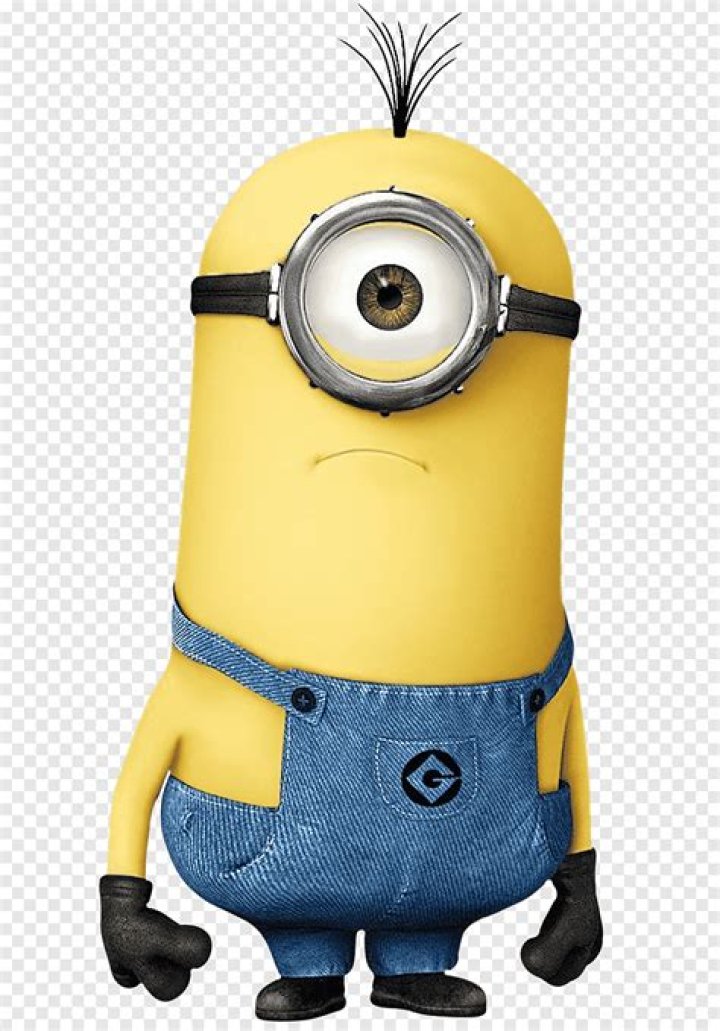 steve minion