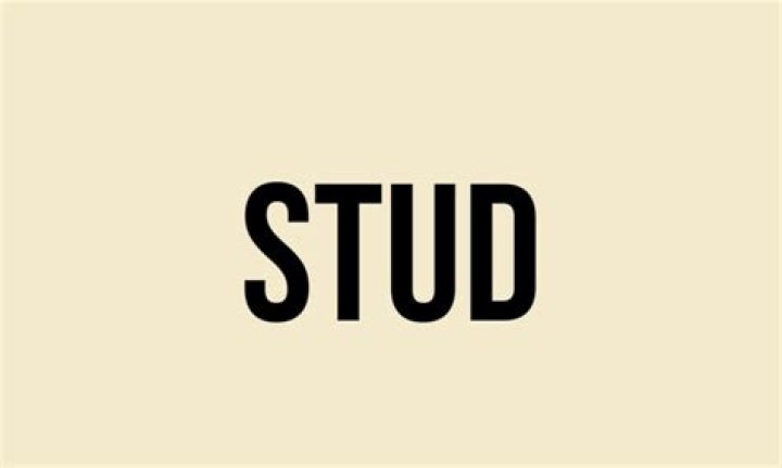 stud meaning slang