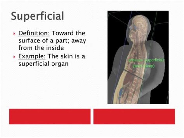 superficial medical definition
