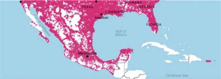 t mobile mexico