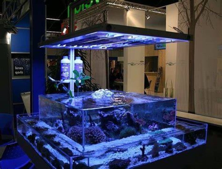 tanked fish tanks
