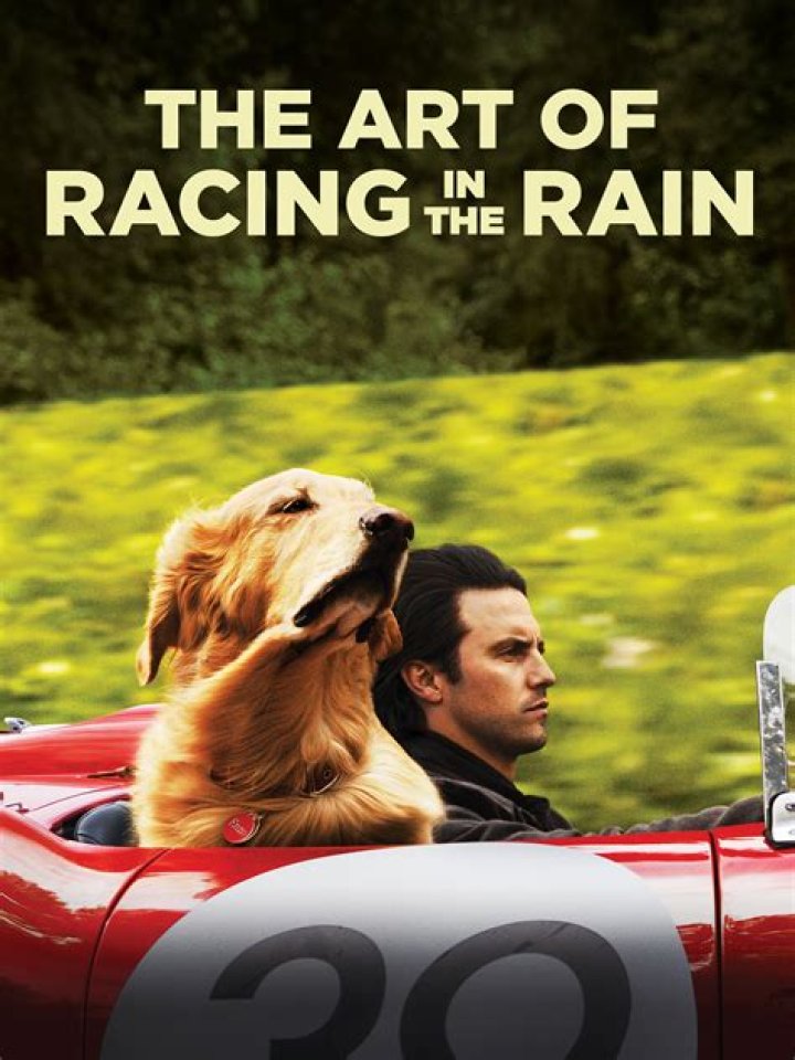 the art of racing in the rain netflix