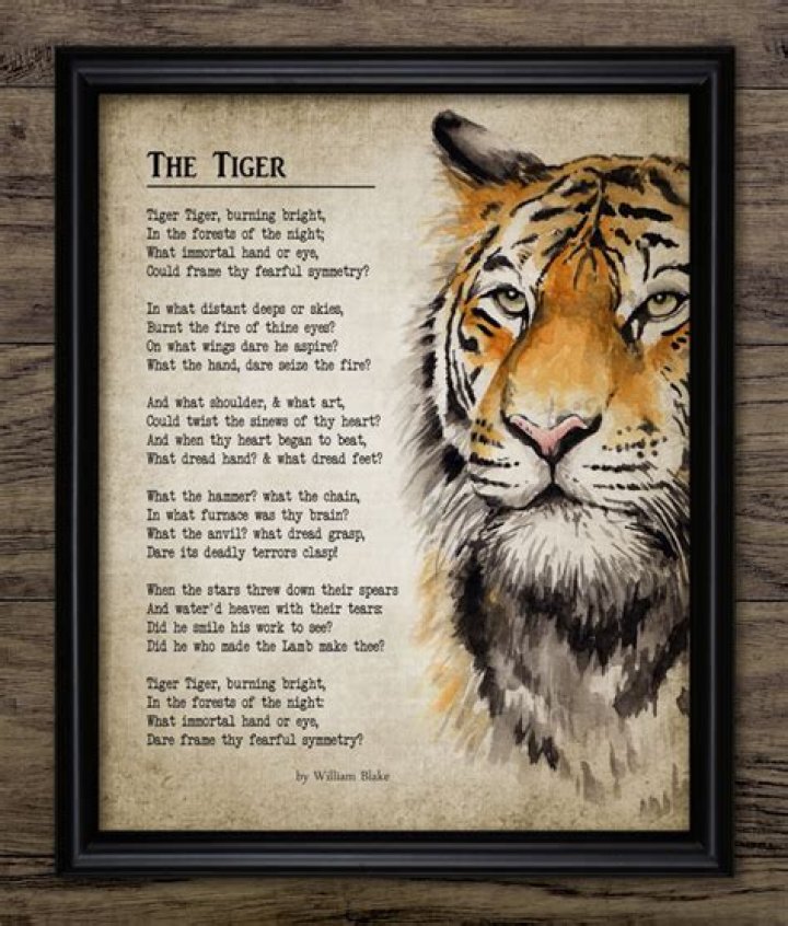 the tiger poem