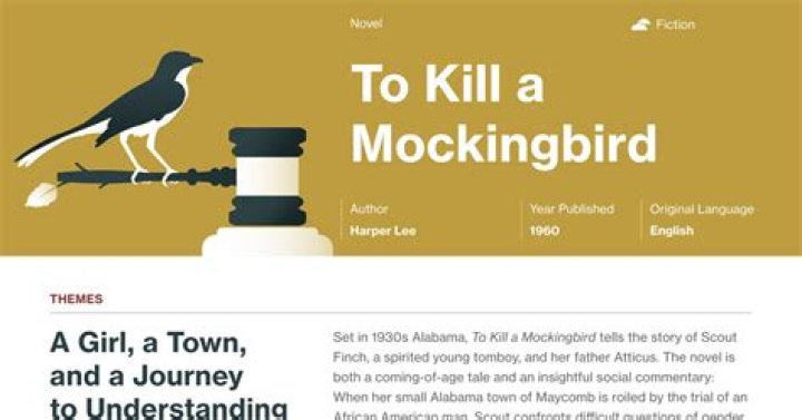 to kill a mockingbird chapter 11 summary