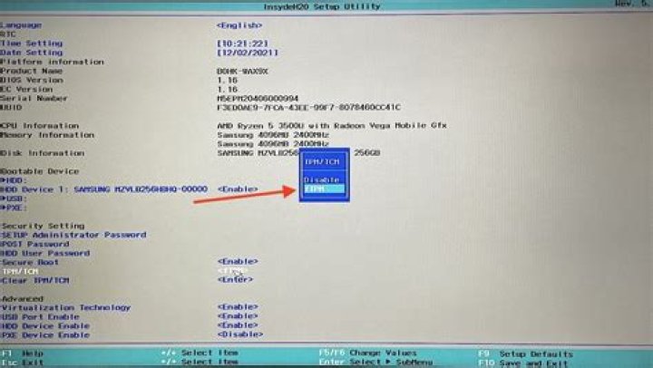 tpm bios