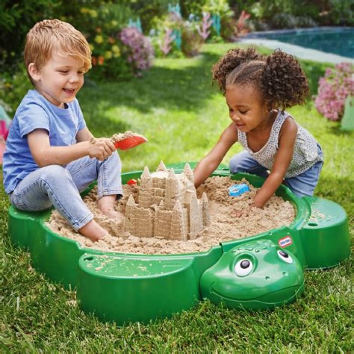 turtle sand box