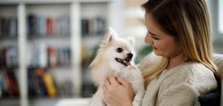 vip petcare locations