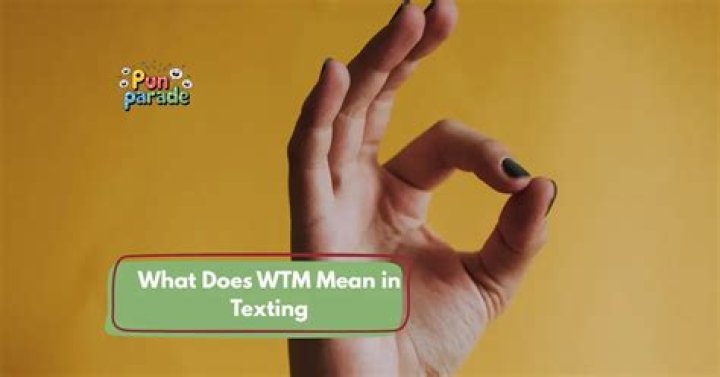 what does wtm mean in texting