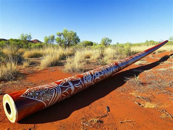what is a didgeridoo