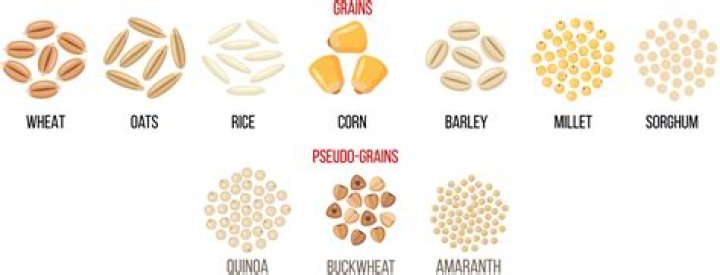 what is a grain