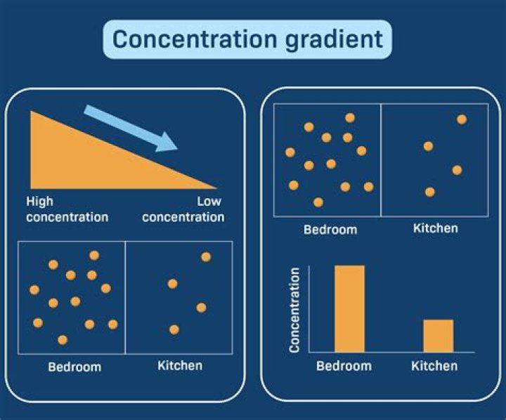what is concentration gradient
