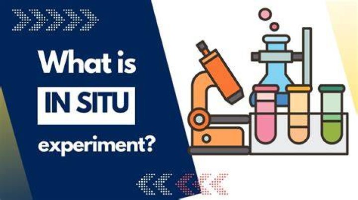what is in situ