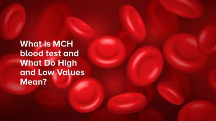 what is mch in blood test high