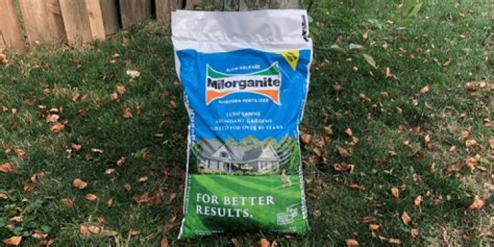 what is milorganite