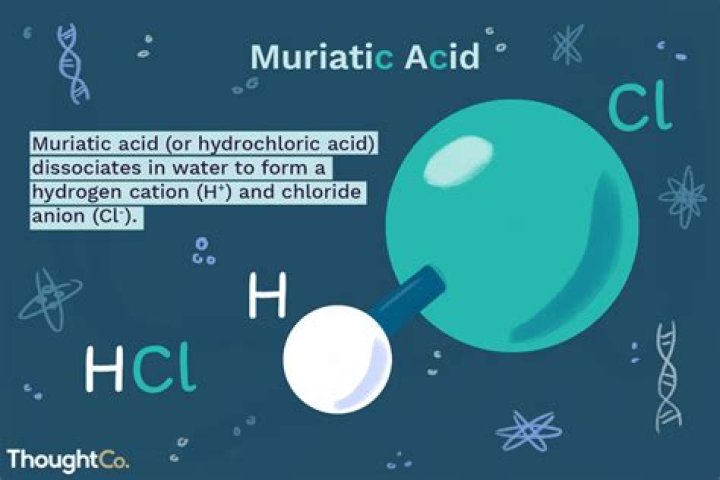 what is muriatic acid