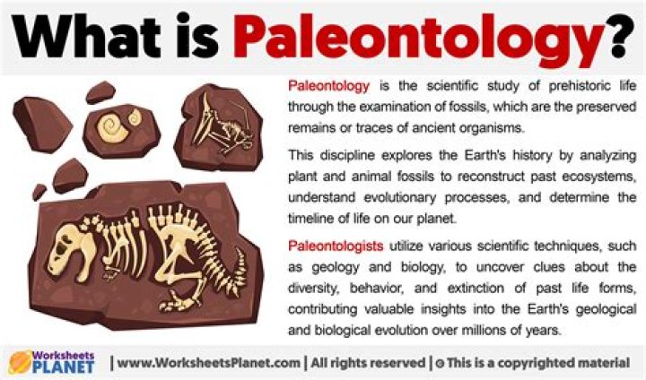 what is paleontology