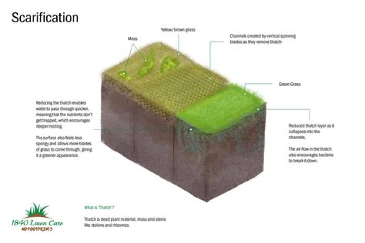 what is scarification