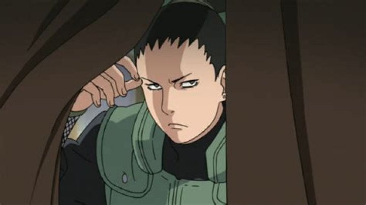 what is shikamaru’s iq