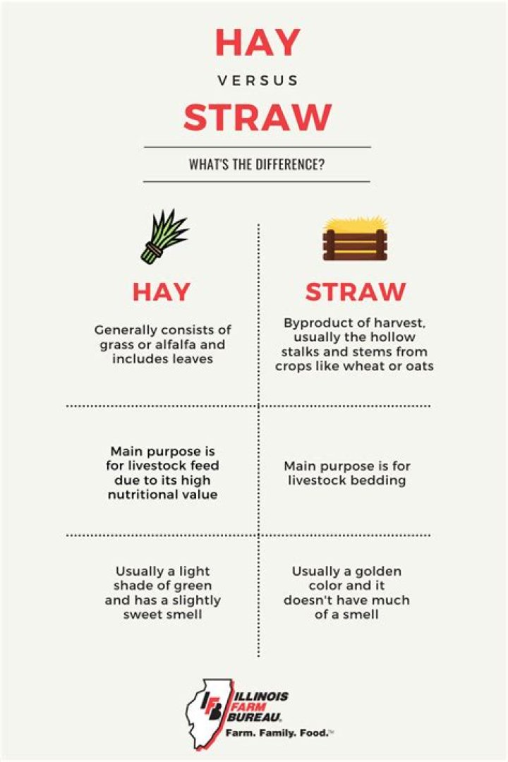 what is the difference between hay and straw