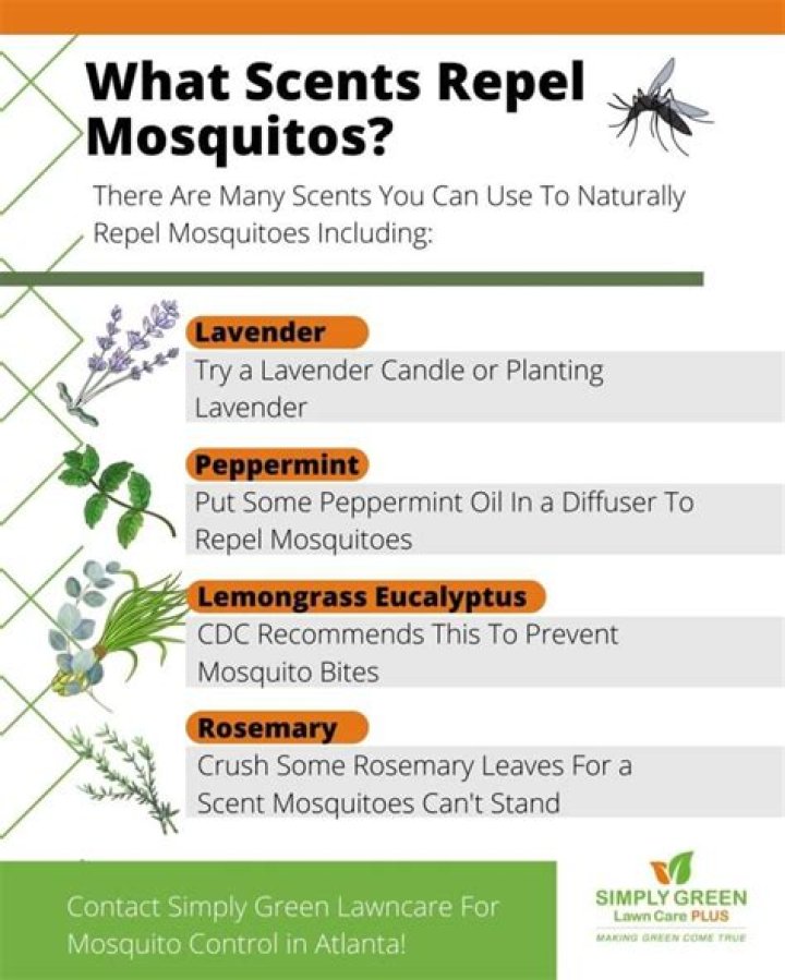 what smells do mosquitoes hate