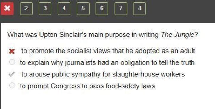 what was upton sinclair’s main purpose in writing the jungle