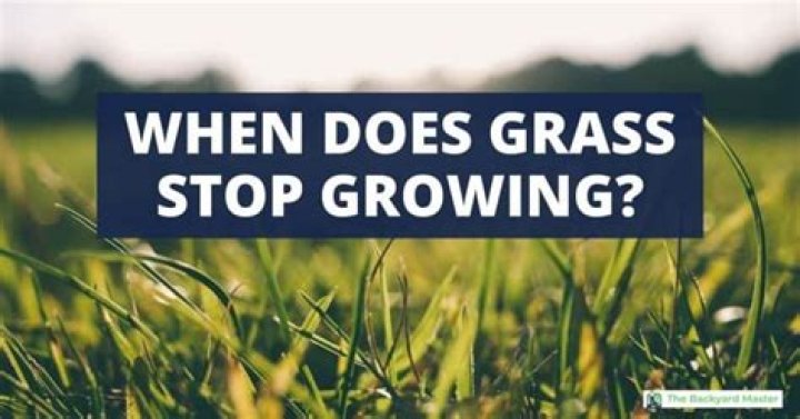 when does grass stop growing