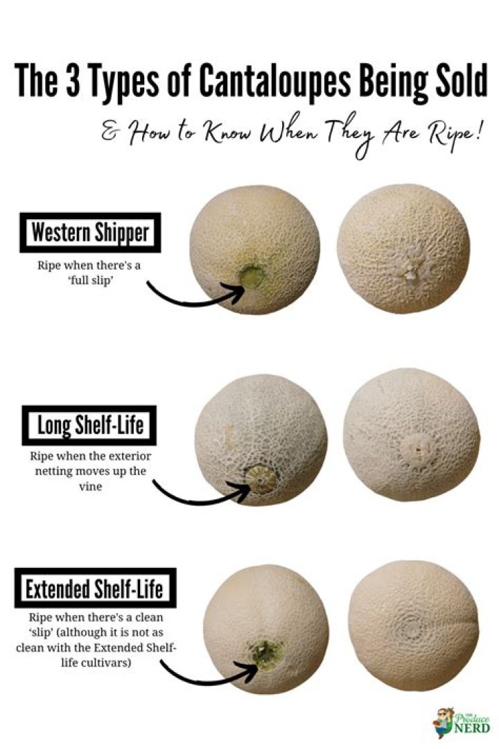 when is cantaloupe ripe