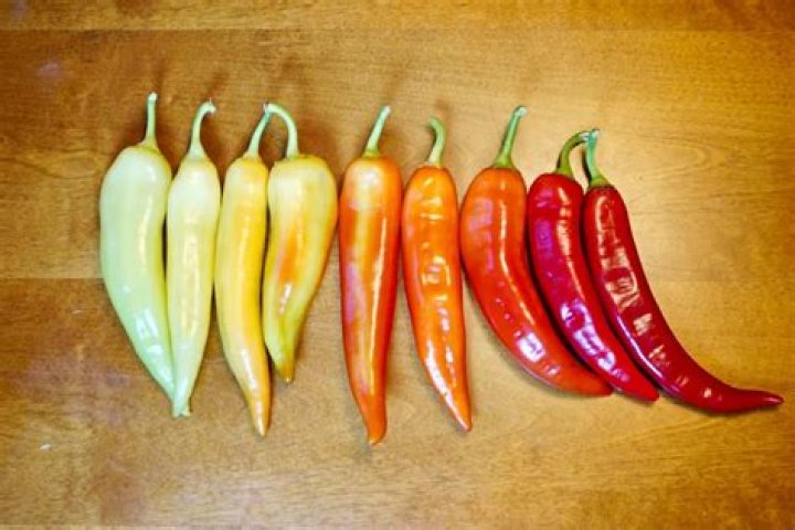 when to harvest banana peppers