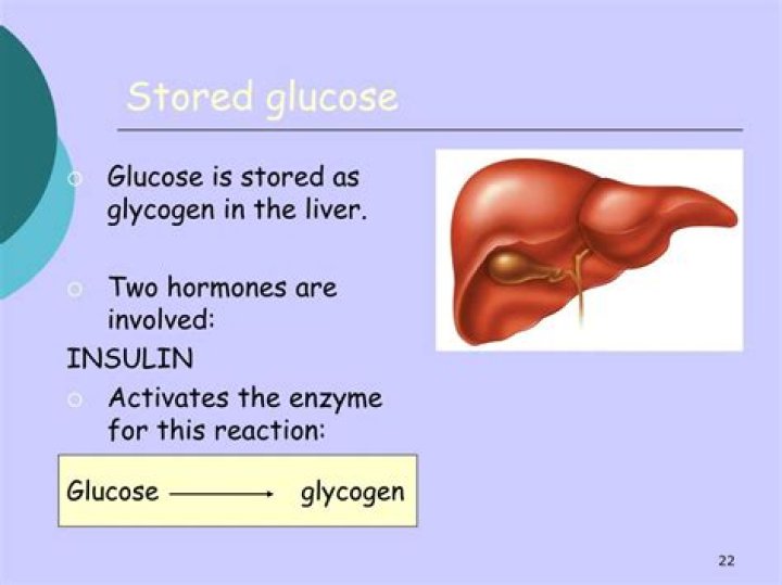where is glucose stored