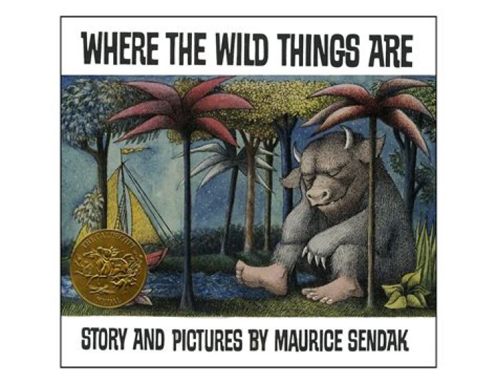 where the wild things are summary