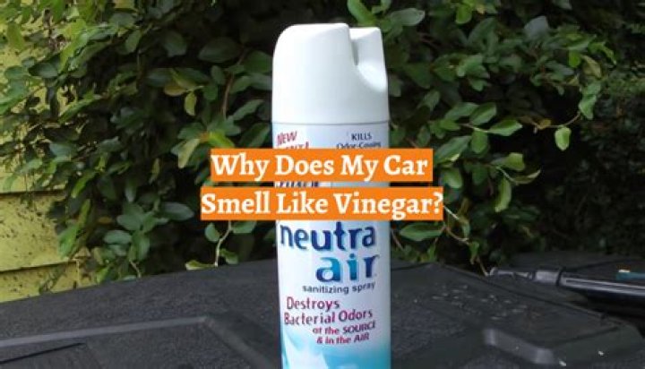 why does my car smell like vinegar