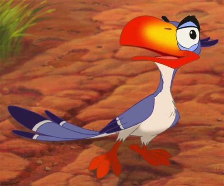 zazu bird